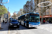 Buses Spain Benidorm 20221217
